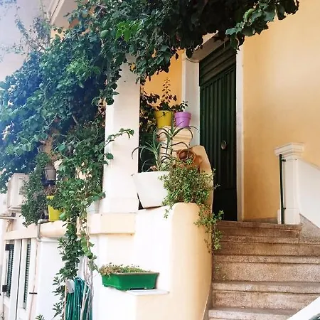Terrazzo House In *